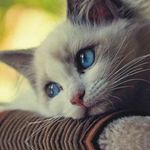 Andrew Murley - @andrew.murley3 - Instagram