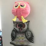 Andrew James Mutton - @andrewjamesmutton - Instagram