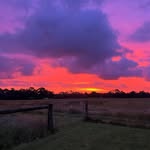 Andrew Mutton - @mutton_andrew - Instagram