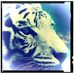 Andrew Mutton - Facebook