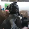 Andrew Mutton - @andrew.mutton3 - TikTok
