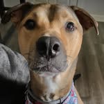 Andrew Nabb - @a.nabb221 - Instagram