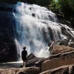 Andrew Nancarrow - @andrew.nancarrow - Instagram