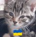 Andrew Neilson - Facebook