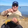 Andrew Nell - @andrew.nell - TikTok