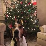 Andrew Nickerson - @norman.phillips733 - Instagram