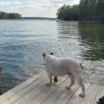 Andrew Nix - @asnix - Instagram