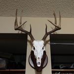 andrew nix - @andrewnix1 - Instagram