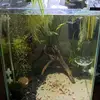 AndrewNorfolkUk - @andrewnorfolkuk - TikTok