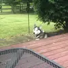Drew Nuckols - @drew.nuckols - TikTok
