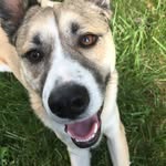 Andrew Oakley - @oldmanoakles - Instagram