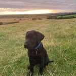 Andrew Oakley - @andrewoakley123 - Instagram