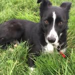 Andrew Oakley - @andrew.oakley.1048 - Instagram