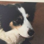 Andrew Oldham - @andyo1129 - Instagram