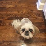 Andrew Olson - @andrew_olson_18 - Instagram