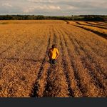 Andrew Olson - @andrew_olson05 - Instagram