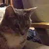 andrewosler2 - @andrewosler2 - TikTok