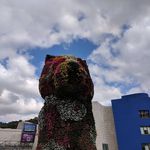 Andrew Pack - @andrewpaulpack - Instagram