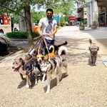 Andrew's Pack - @andrewspackdoggiedaycare - Instagram