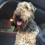Andrew Paddock - @andrewpaddock9 - Instagram