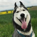 Andrew_Panek - @andrew_panek - Instagram