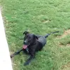 Andrew Panter - @andrew.panter - TikTok