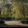 Andrew - @andrew.parham - TikTok