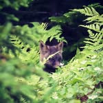 Andrew Parsons - @andrewparsons22 - Instagram