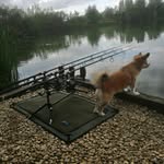 Andrew Pattyson - @pattysonandrew - Instagram