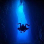 Andrew Pell - @pumba.pell - Instagram