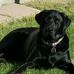 Andrew Pelzer - Facebook