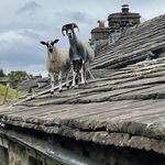 Andrew  Pendleton - @andrewpendletonyork - Instagram