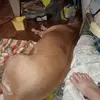 Andrew Pendley - @andrew.pendley - TikTok