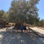 Andrew Pengelly - @a.pengelly - Instagram