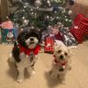 Andrew - @andrew.penney - TikTok