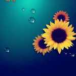 Andrew perdew - @surf_city_345 - Instagram