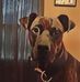 Andrew Perrigo - Facebook