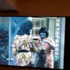 andrew perrigo - @andrewperrigo69 - TikTok