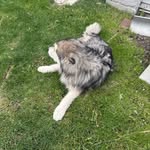 AP - @andrewperillo3 - Instagram