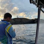 Andrew Perrett - @andypirat83 - Instagram