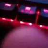 Andrew Perretta - @andrewperretta150 - TikTok