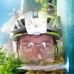 Andrew Perricone - Facebook