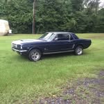 Andrew Perricone - @andrew_mustangs66 - Instagram