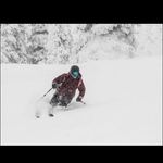 Andrew Perrin - @perrin_andrew - Instagram