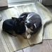 Andrew Perron - Facebook