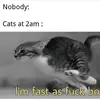 Andrew Perrott - @andrew.perrott - TikTok