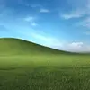 andrewperrotti06 - @andrewperrotti06 - TikTok
