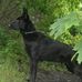 Andrew Persson - Facebook