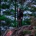Andrew Persson - Facebook