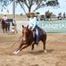 Andrew Petch - Facebook